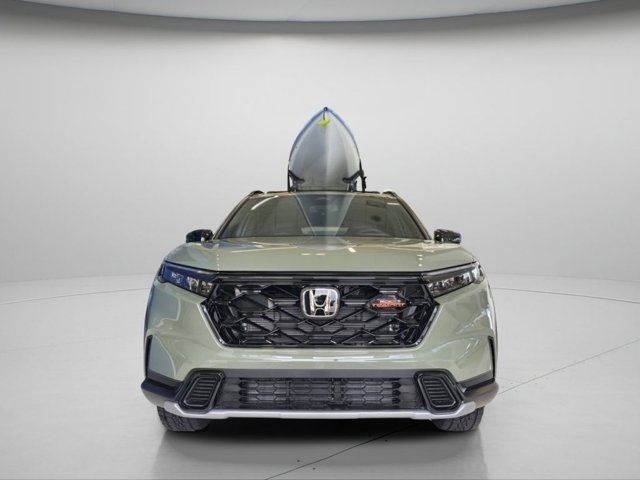 Main image 3