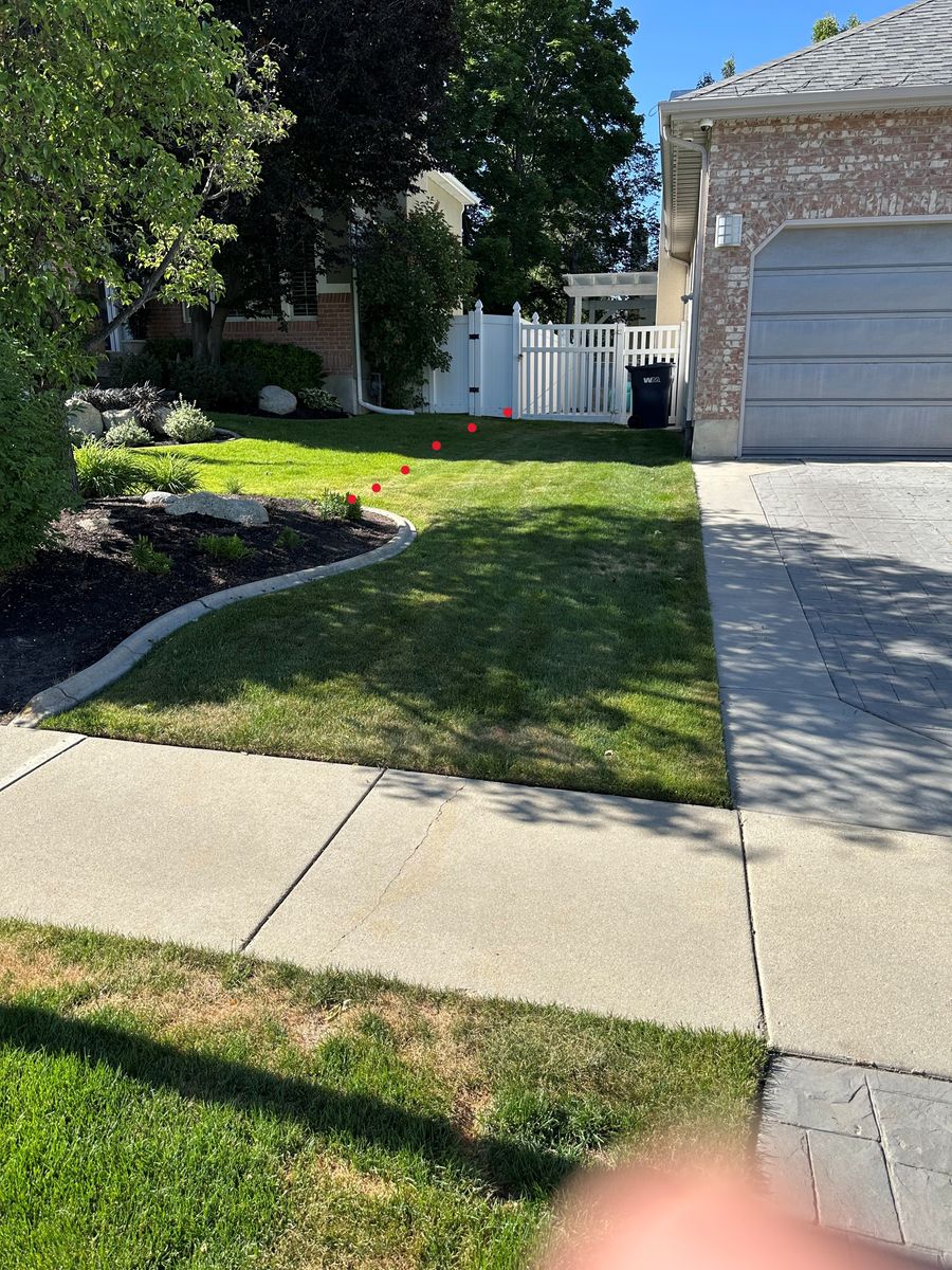 ~500 square feet of sod