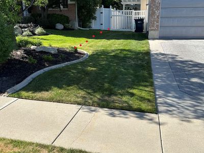 ~500 square feet of sod