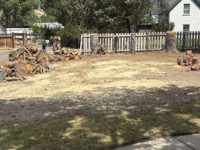 Pine and cedar firewood