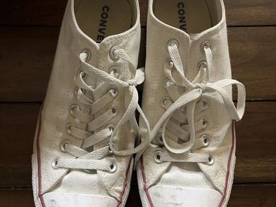 Converse Size 8.5