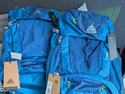 NEW W/TAGS Gregory Icarus 40 & 30L Youth Packs