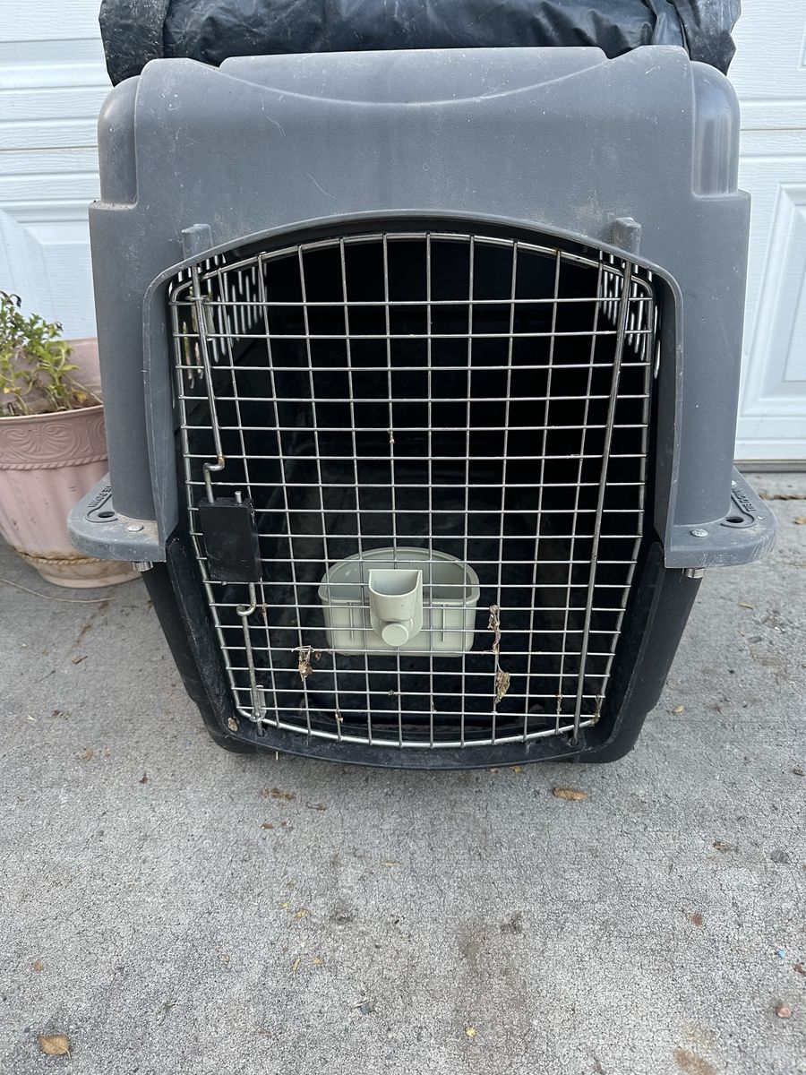 Large Plastic Pet Travel Crate Kennel with Wire Door and Bowl
