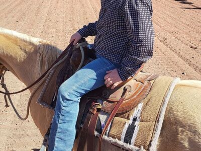 2007 Grade Palomino Gelding