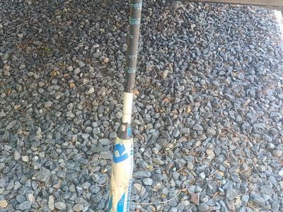home run Demarini fastpitch softball bat