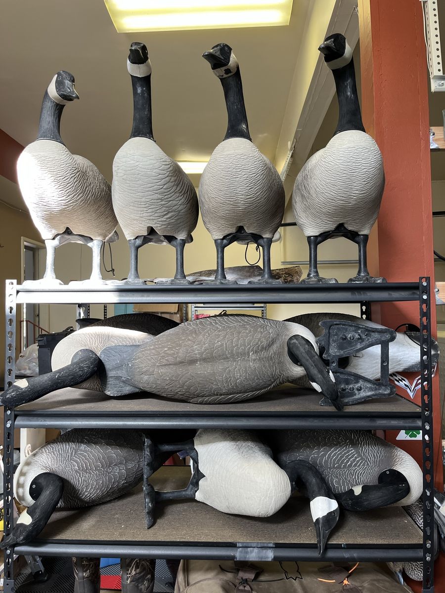 Bigfoot goose decoys