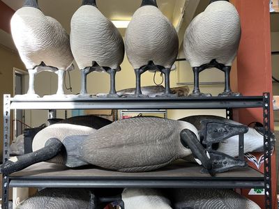 Bigfoot goose decoys