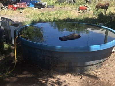 Behlen - Stock Tank - Round