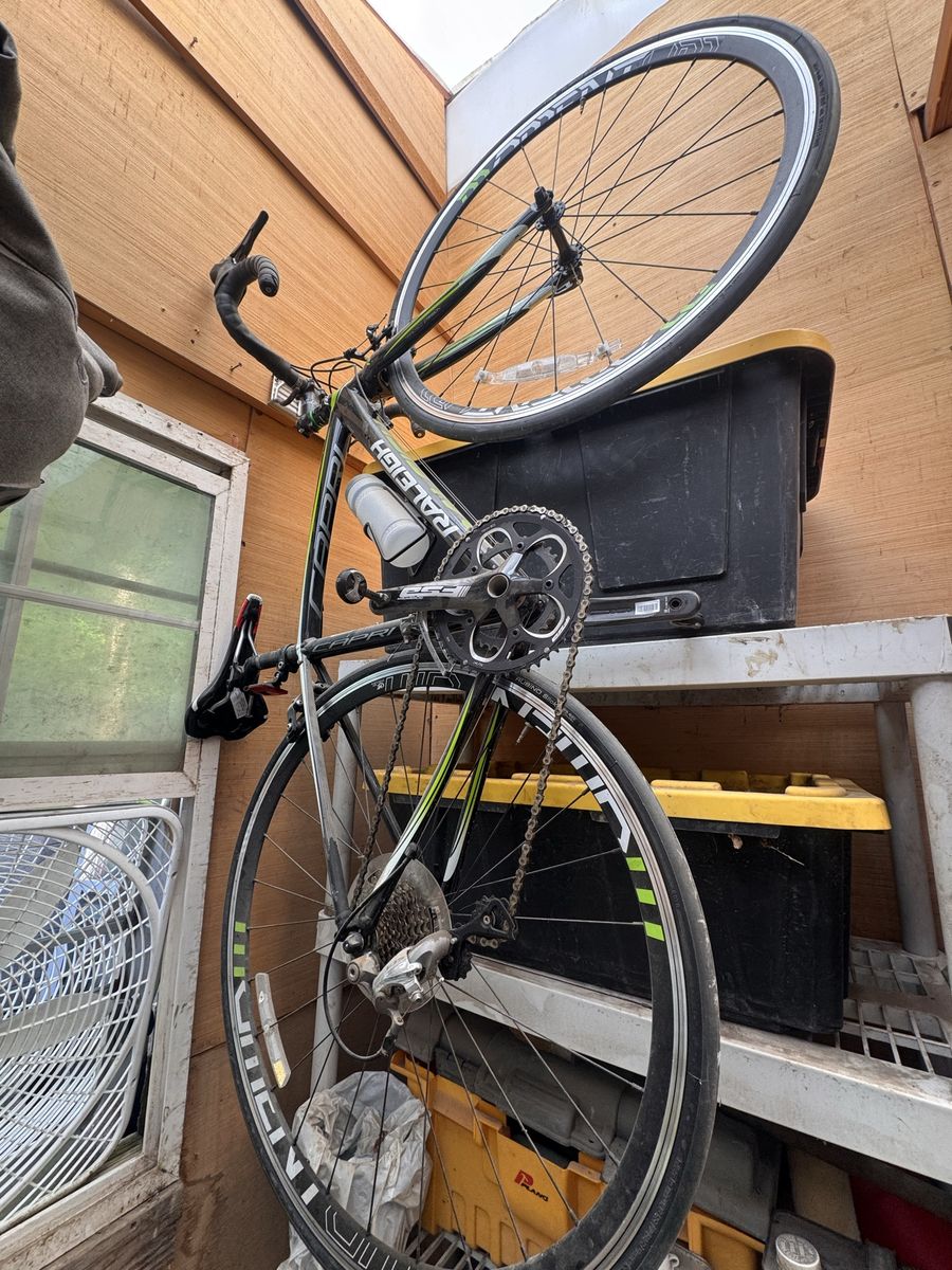 Raleigh Road Bike - Black and Green Adult Bicycle