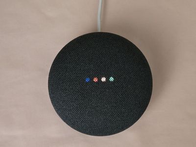 Google Nest Mini in Charcoal (charger included)