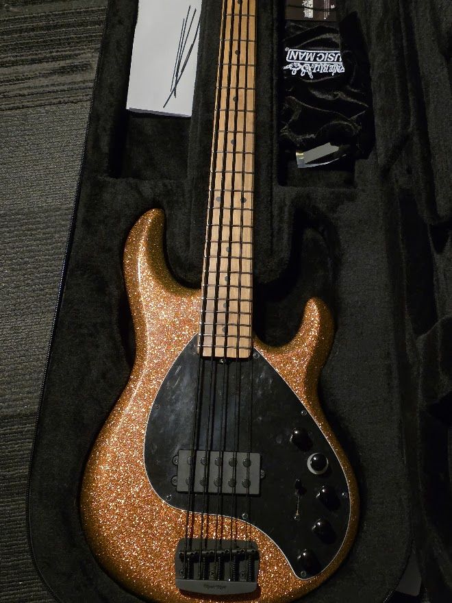 Ernie Ball Music Man DarkRay 5-string Bass Guitar - Gold Bar with Maple Fingerboard