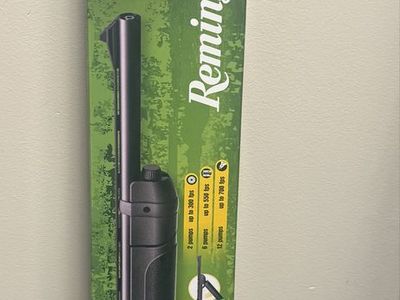 Remington bb/pellet rifle