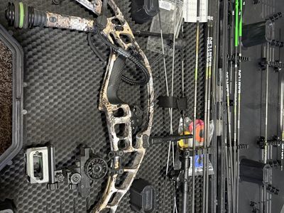 Hoyt Eclipse Bow