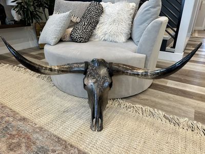 Steer Decor - Authentic