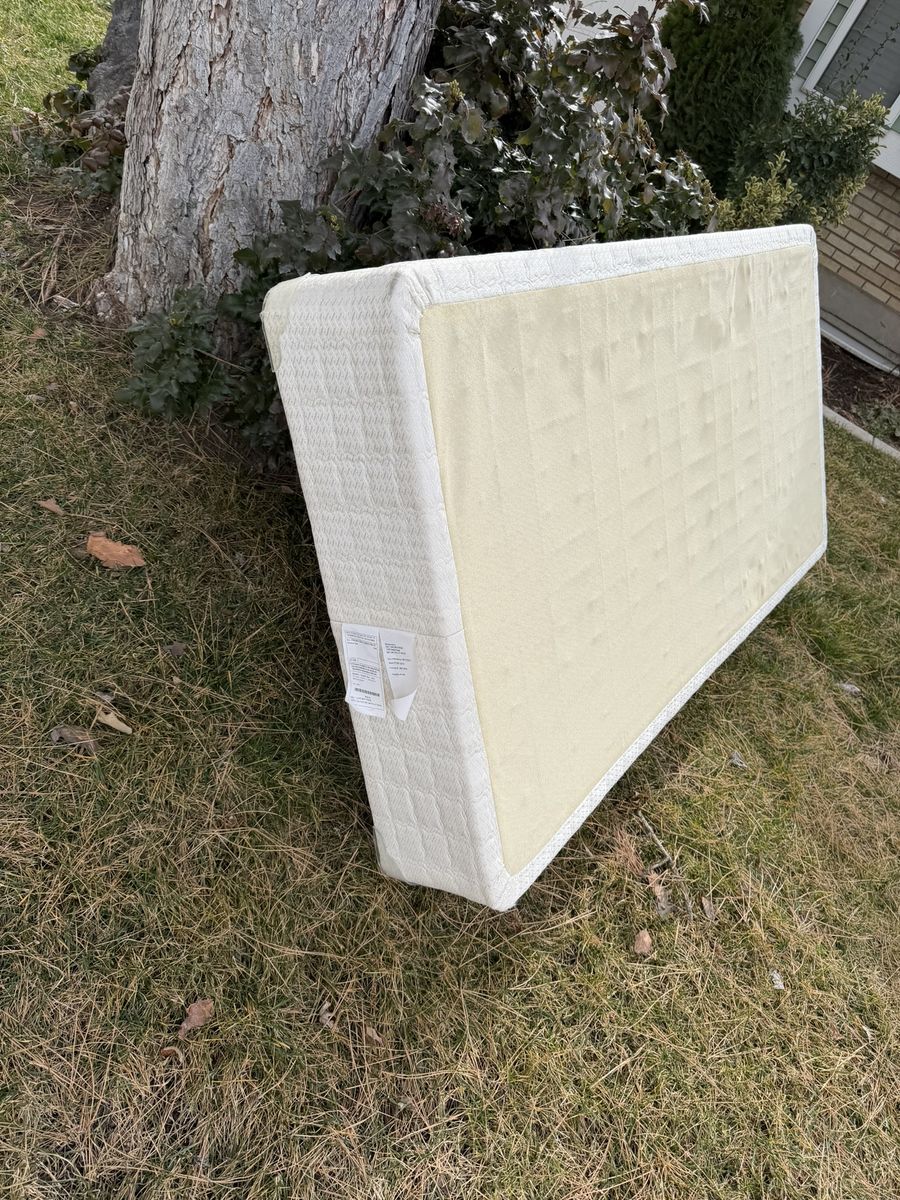 Free Twin Box Spring in Farmington