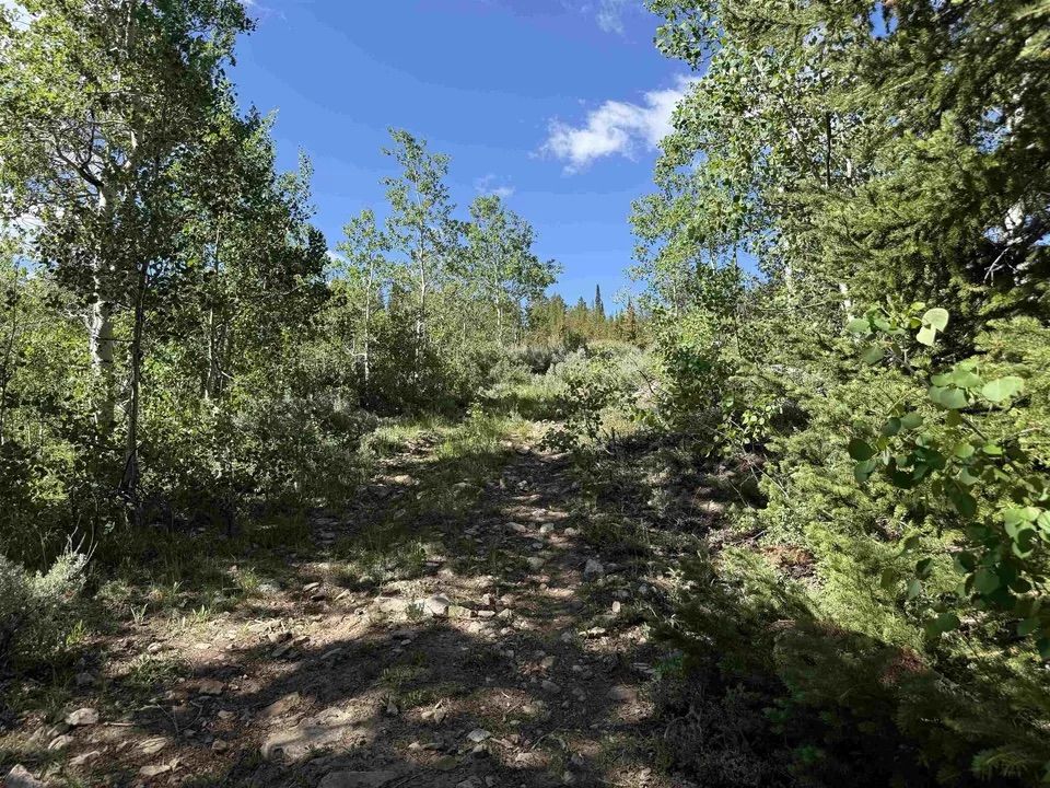 Main image 10