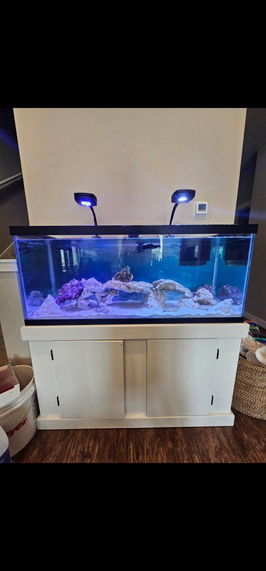 75 gallon aquarium with stand and everything you need