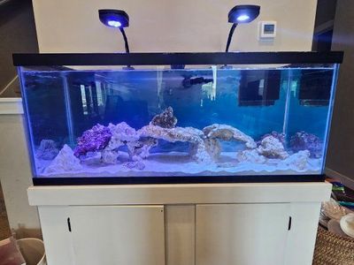 75 gallon aquarium with stand and everything you need