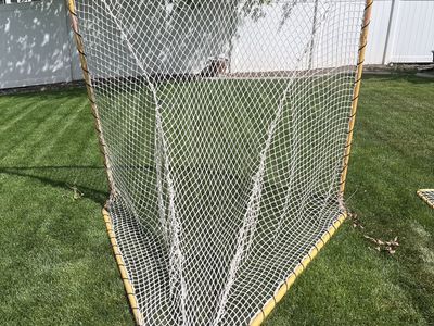 Lacrosse net/goal