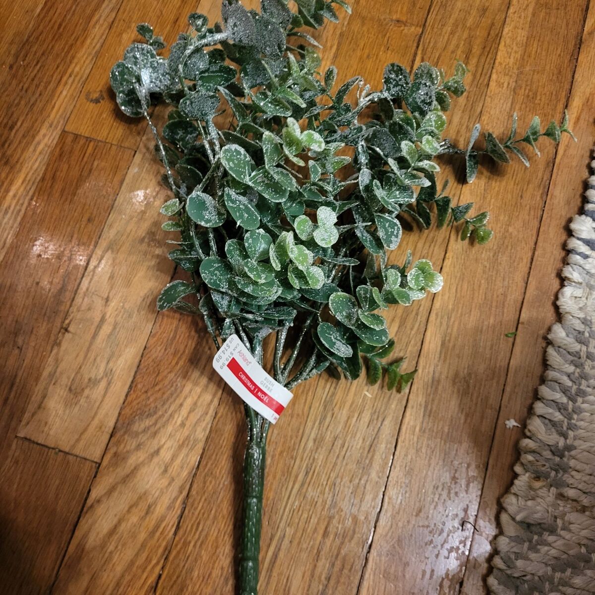 Glitter Eicalyptus Stem