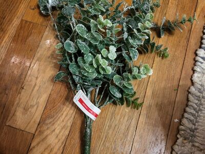 Glitter Eicalyptus Stem