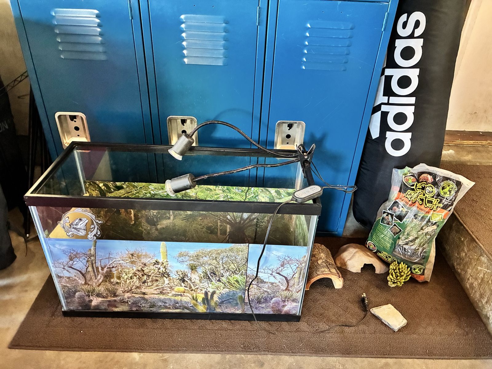 Tank/reptile Terrarium 29 Gal