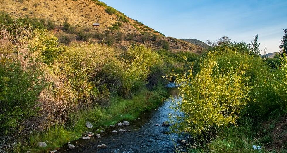 East Canyon Resort Membership (Class "F")