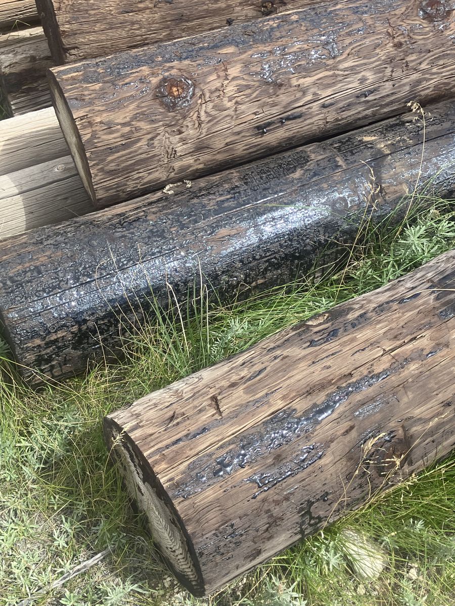 Creosote posts