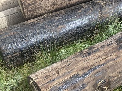 Creosote posts