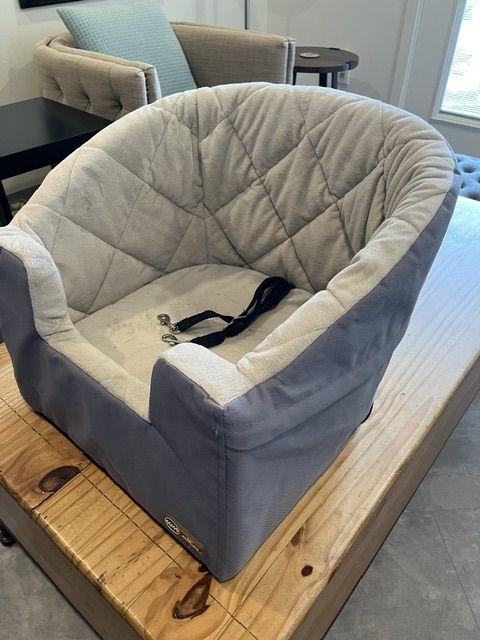 Dog car seat
