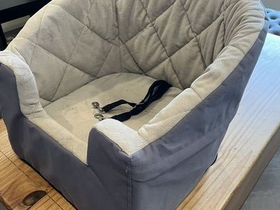 Dog car seat