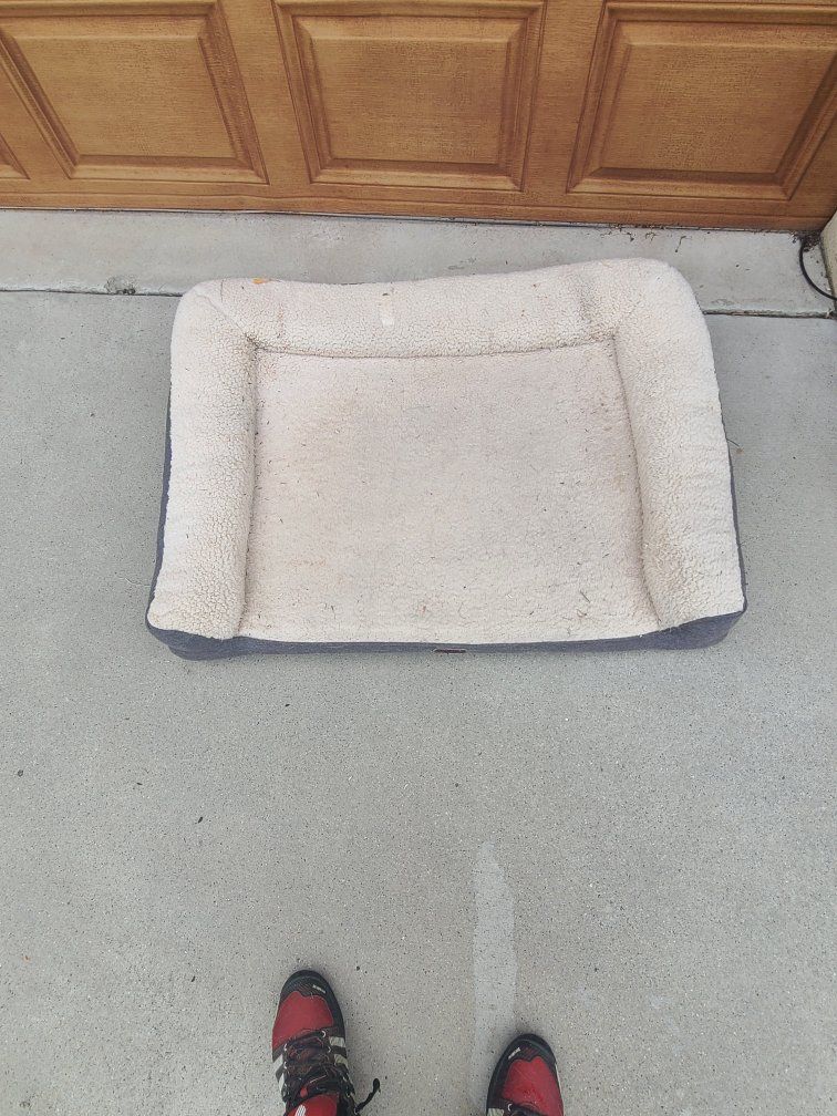 Used Rectangular Bolster Dog Bed - Cream and Gray