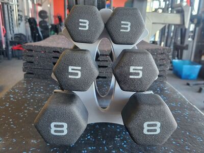 Small Dumbbell Set 3 5 8lb Pairs - Tree included.