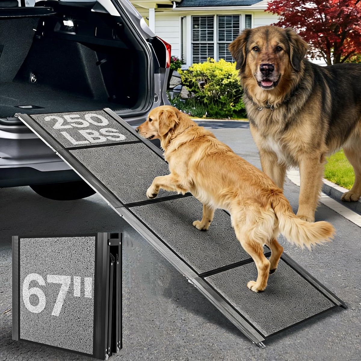 67" x 17" (250 lb) Dog Ramp for Large Dog
