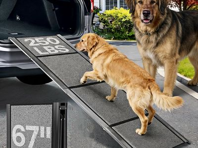 67" x 17" (250 lb) Dog Ramp for Large Dog