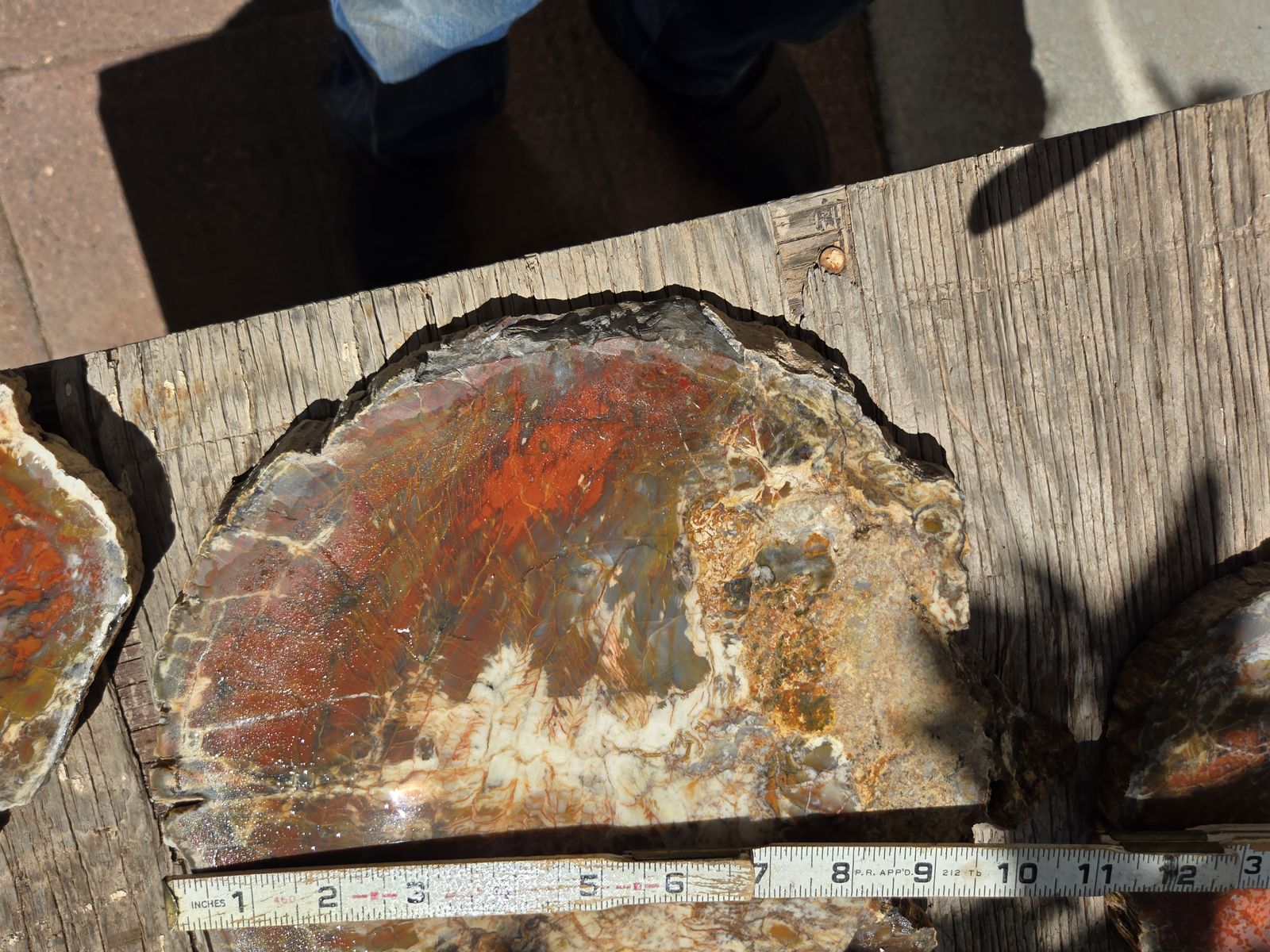 Main image 7