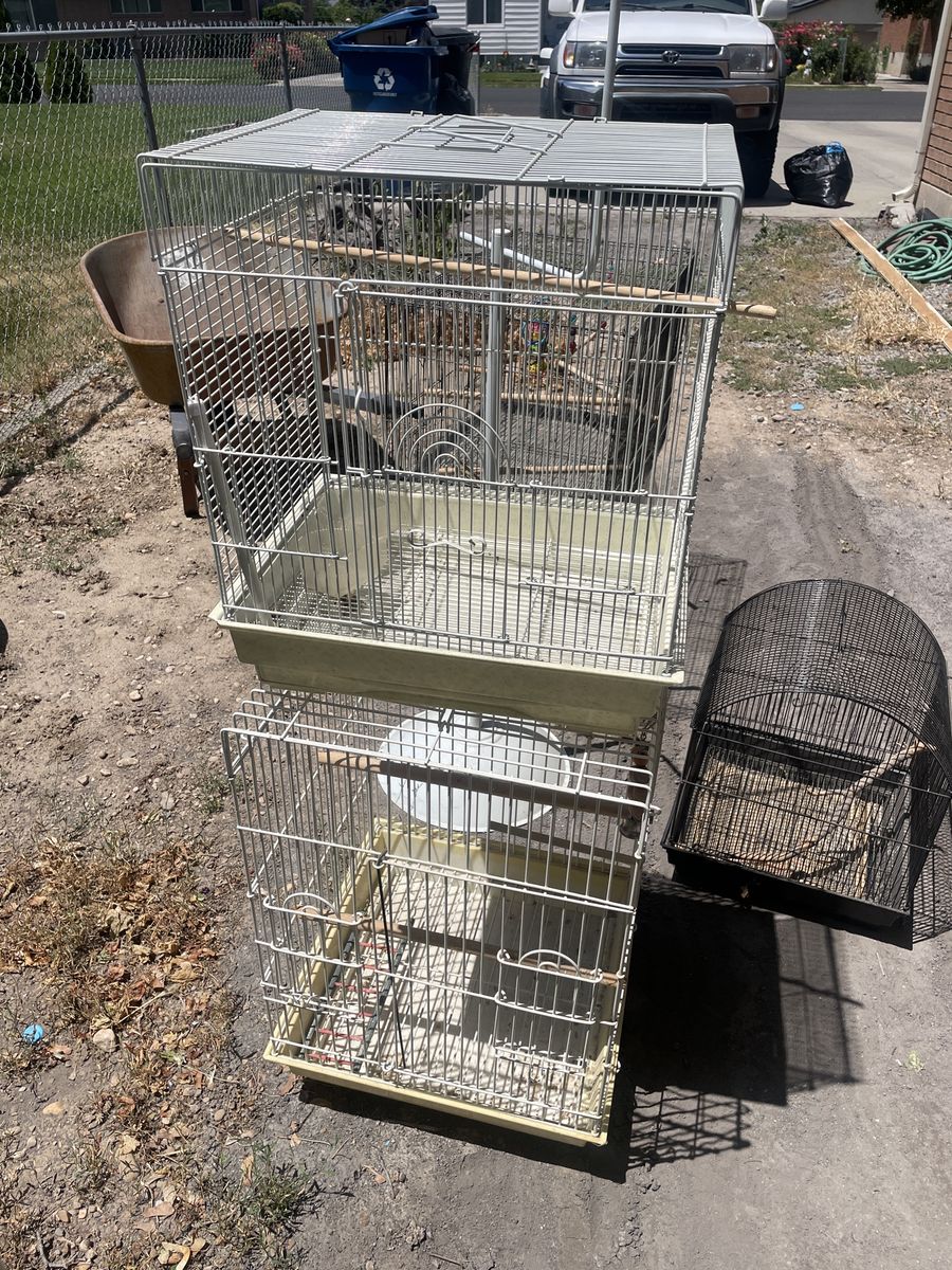 Bird cages