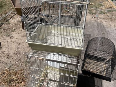 Bird cages