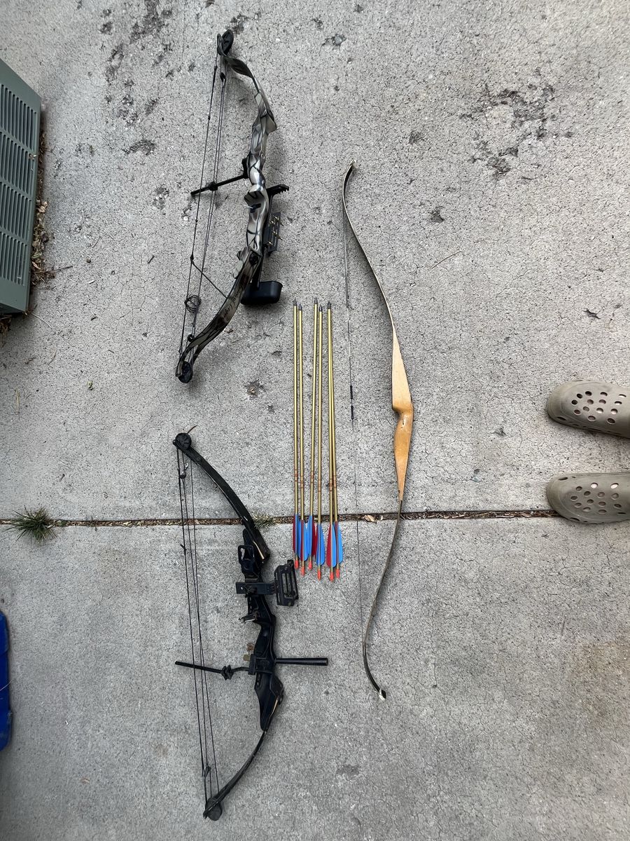 Bear Archery Whitetail Legend Compound Bow Set with Additional Bows & Arrows
