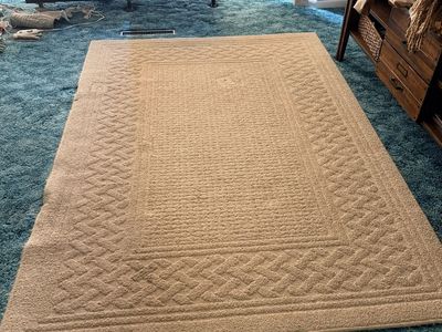 Beige Area Rug with Braided Border - Cozy and Decorative