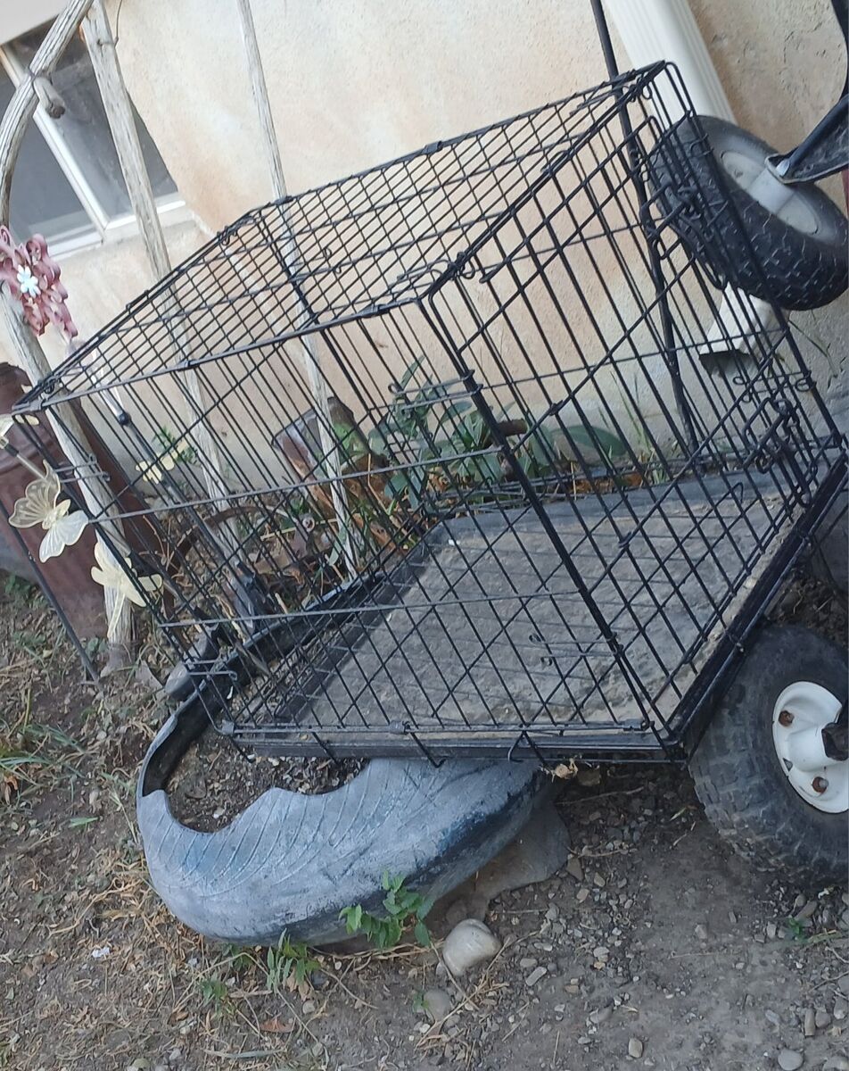 dog crate