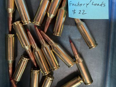 22 ARC Ammo.