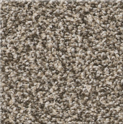 Carpet Remnant