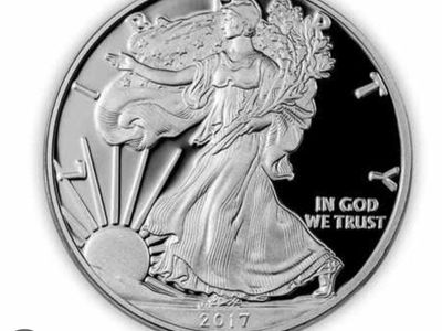 SILVER EAGLEs!!