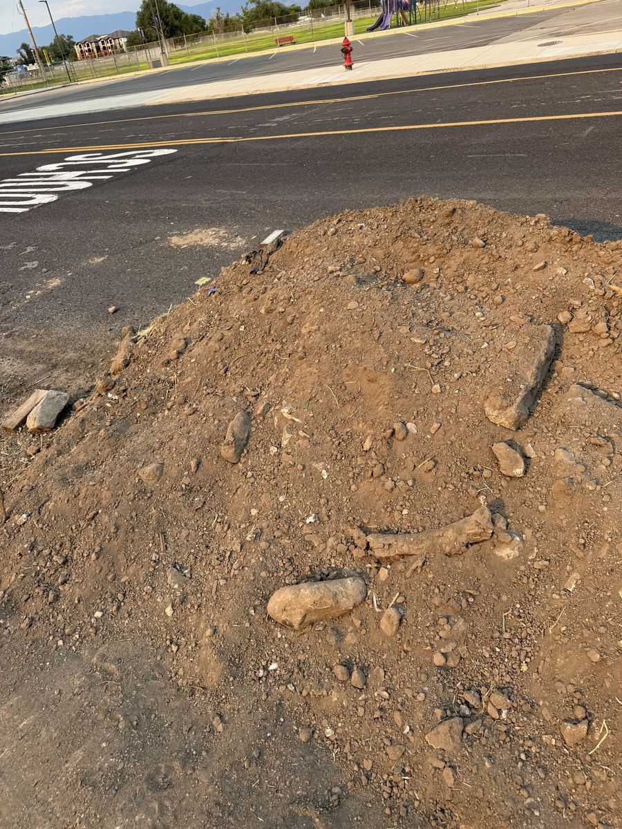 Free top soil