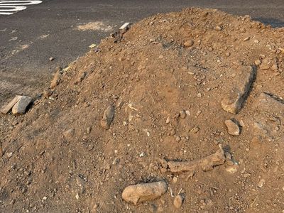 Free top soil