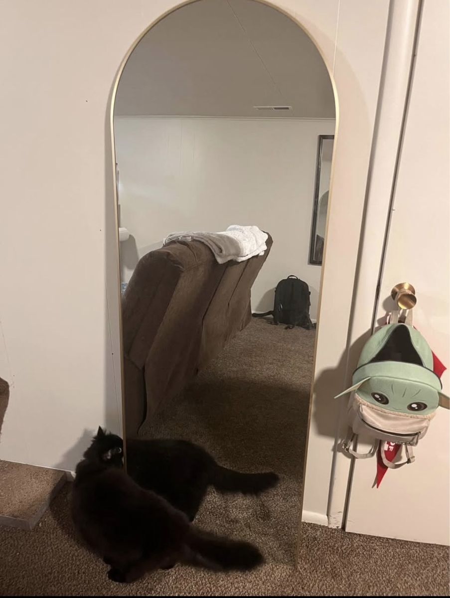 Free standing full body mirror