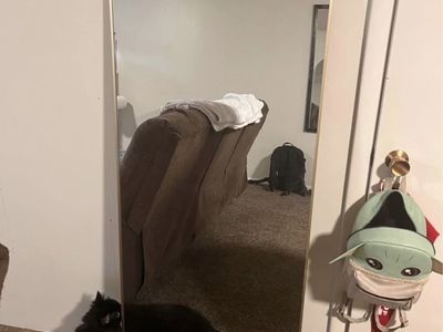 Free standing full body mirror
