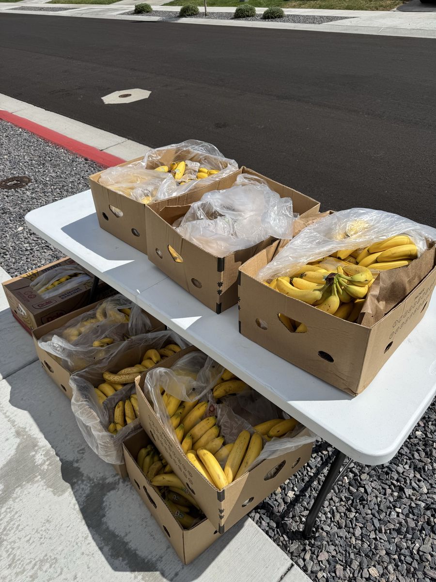 Free bananas
