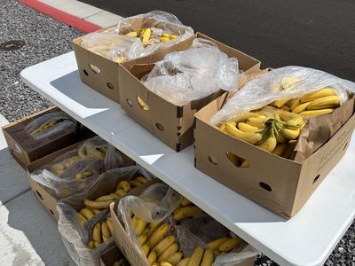 Free bananas